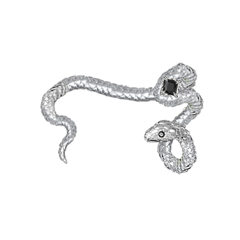 Spirit Snake Ear Hanging
