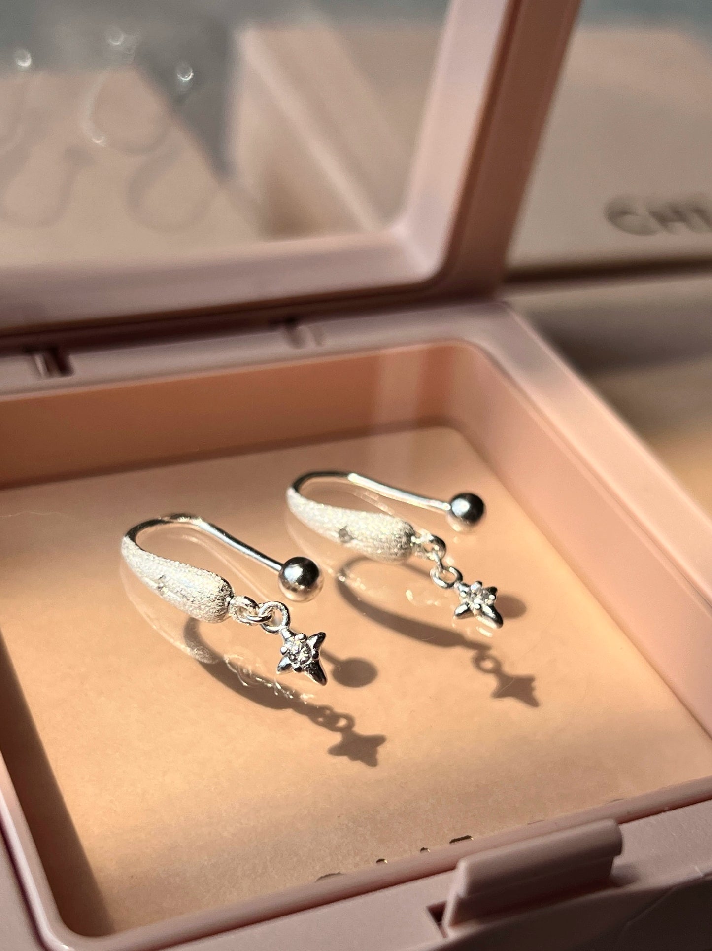 "Snowy Night Starry Sky" Earrings