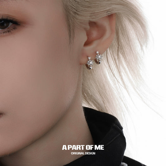 Frosted Snowflake Zircon Earrings