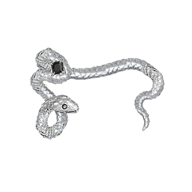 Spirit Snake Ear Hanging