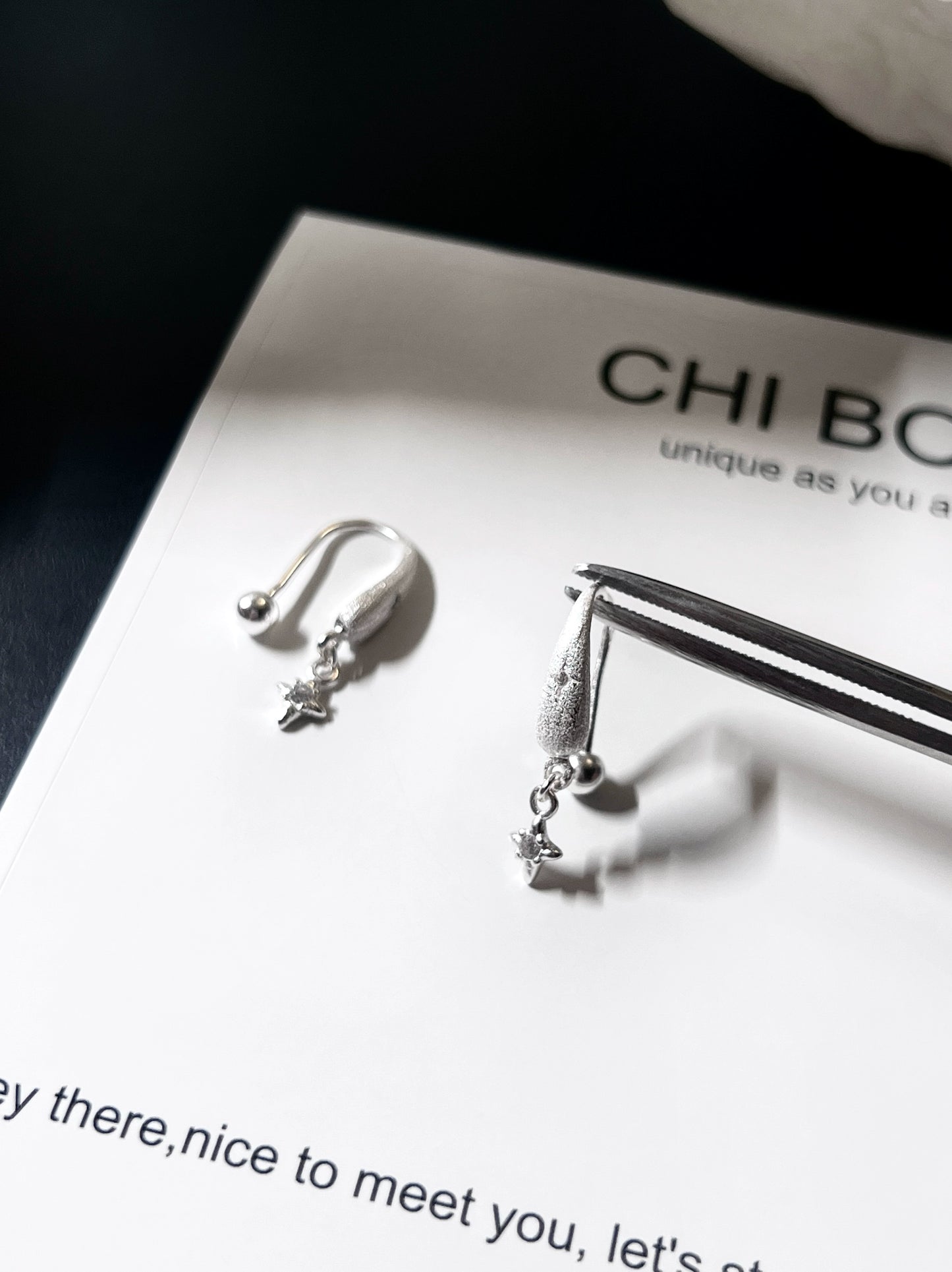 "Snowy Night Starry Sky" Earrings