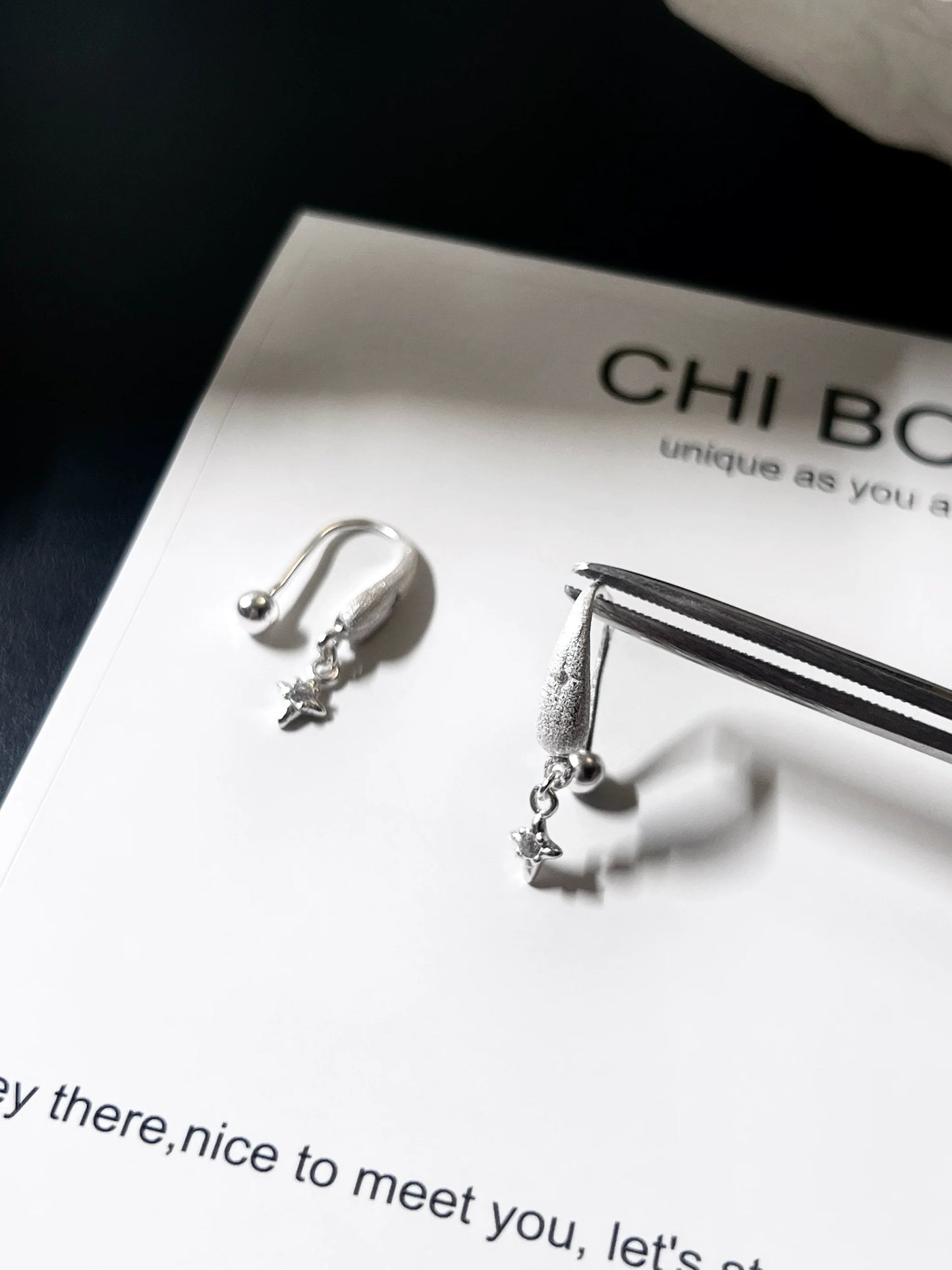 "Snowy Night Starry Sky" Earrings